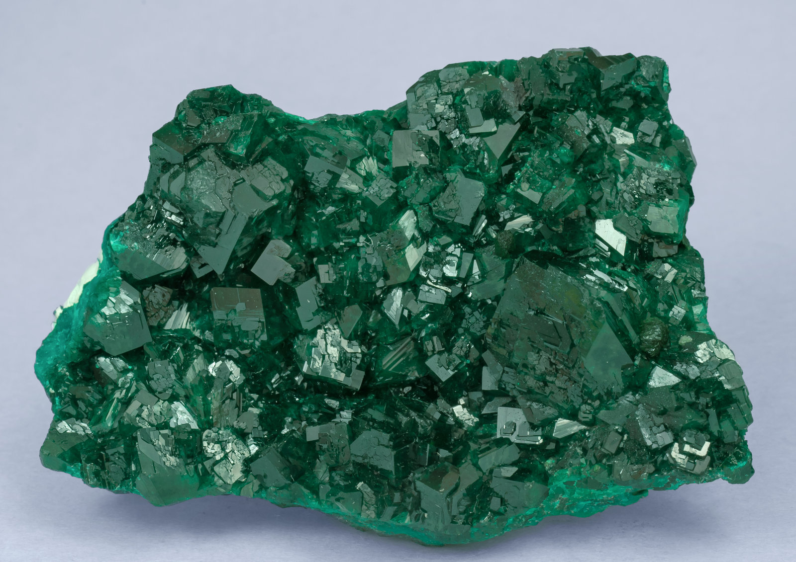 specimens/s_imagesAF6/Dioptase-TR93AF6f.jpg