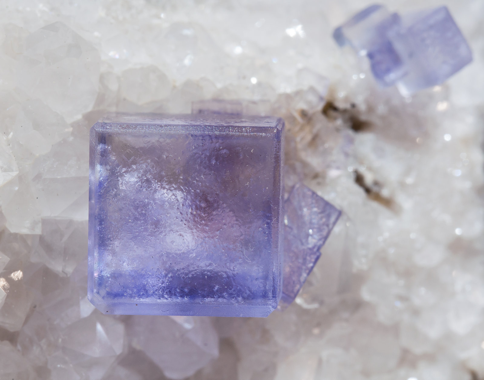 specimens/s_imagesAF6/Fluorite-NX71AF6d.jpg