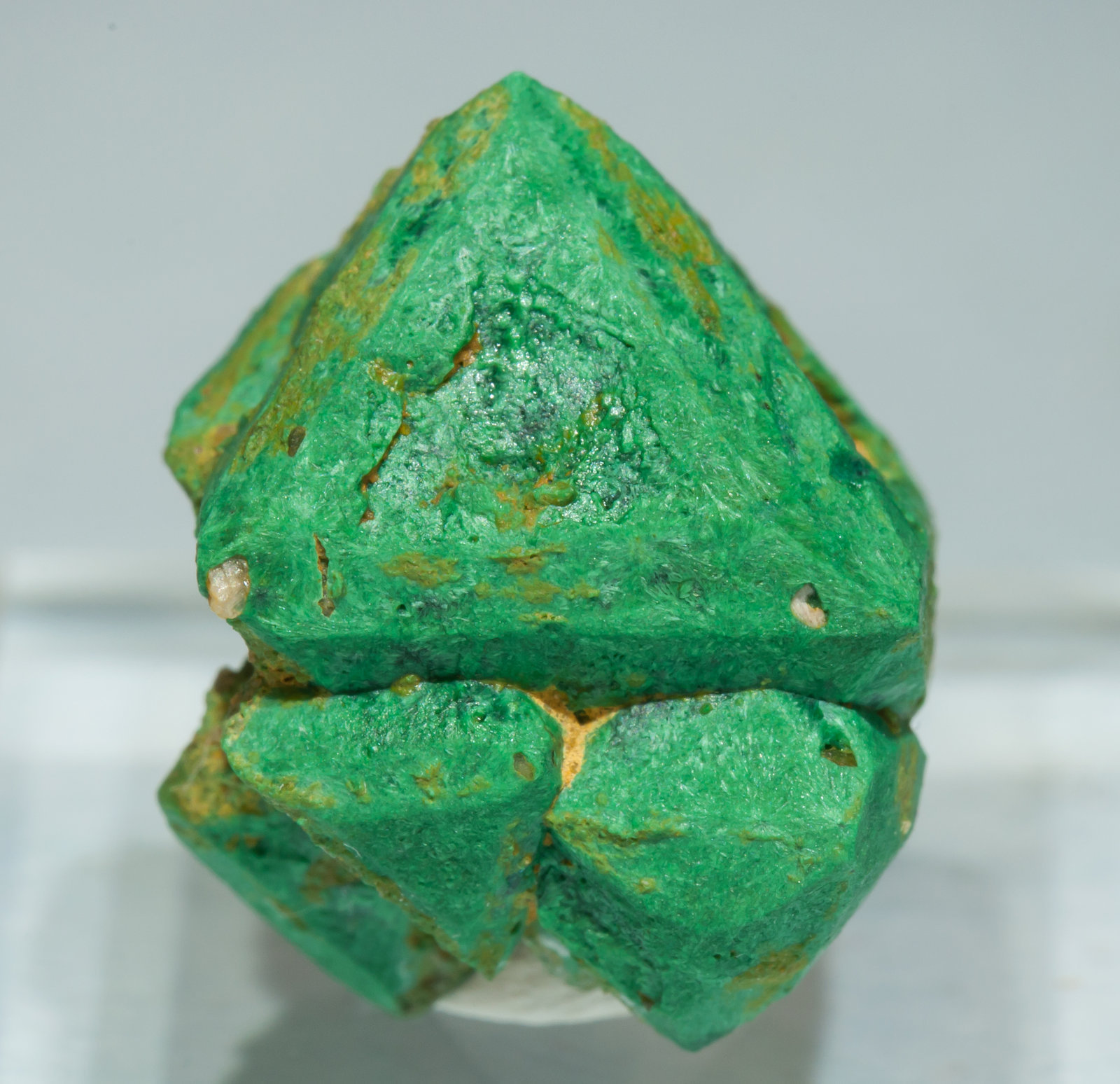 specimens/s_imagesAF6/Malachite-EA27AF6f.jpg