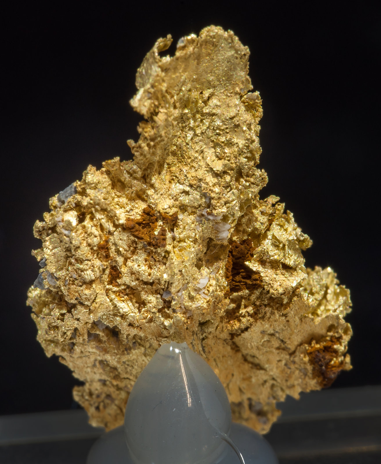 specimens/s_imagesAF7/Gold-TL48AF7r.jpg