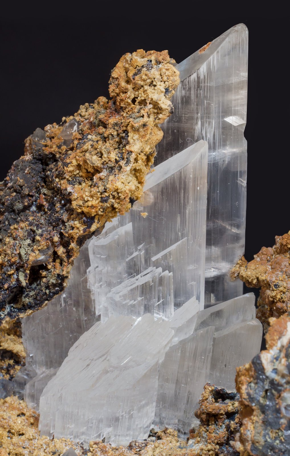 specimens/s_imagesAF7/Gypsum-TD97AF7d.jpg