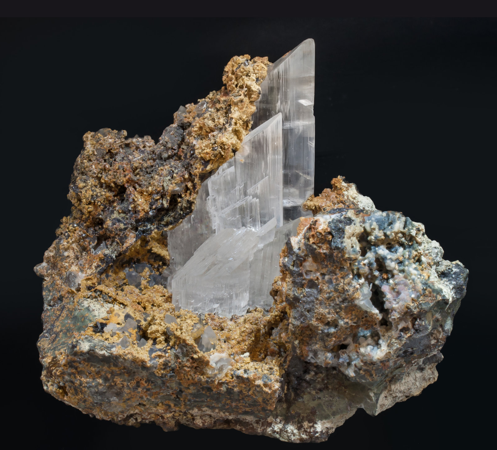 specimens/s_imagesAF7/Gypsum-TD97AF7f.jpg