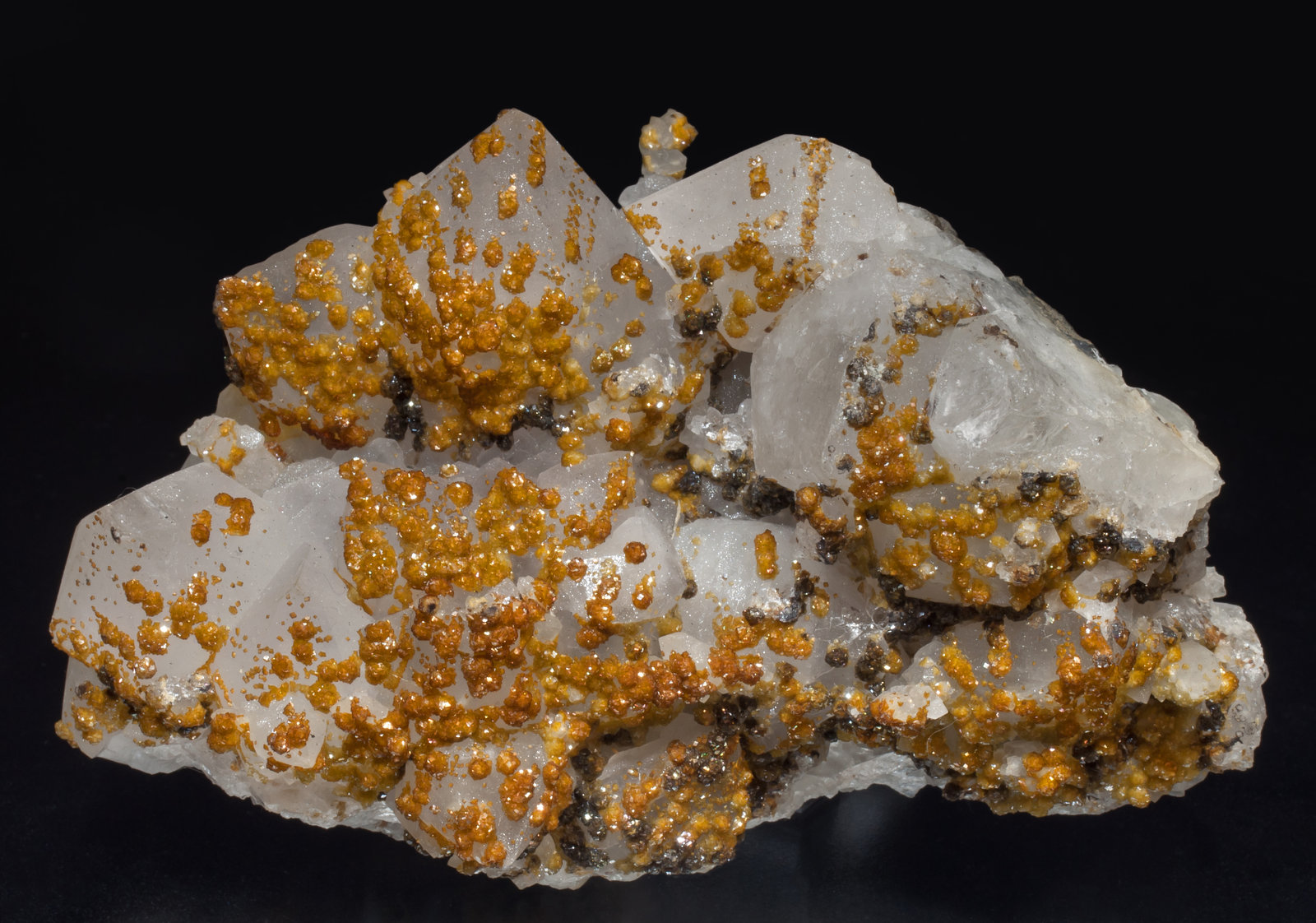specimens/s_imagesAF7/Siderite-TR86AF7f.jpg