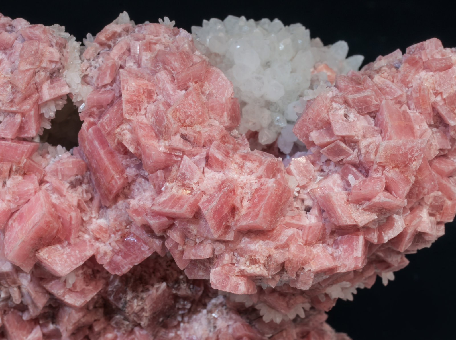 specimens/s_imagesAF8/Rhodochrosite-ME49AF8d.jpg