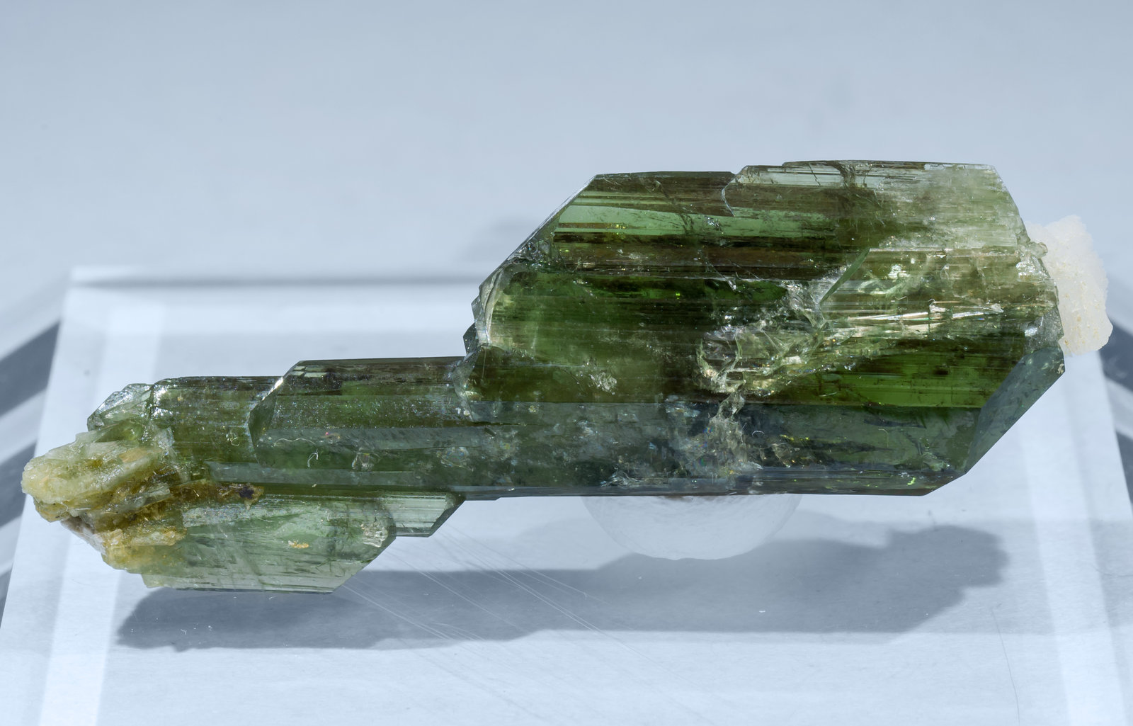 specimens/s_imagesAF9/Diopside-EH30AF9f.jpg