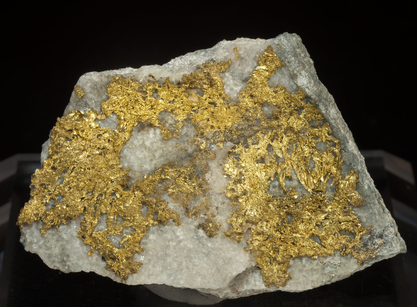 specimens/s_imagesAF9/Gold-EJ92AF9f.jpg