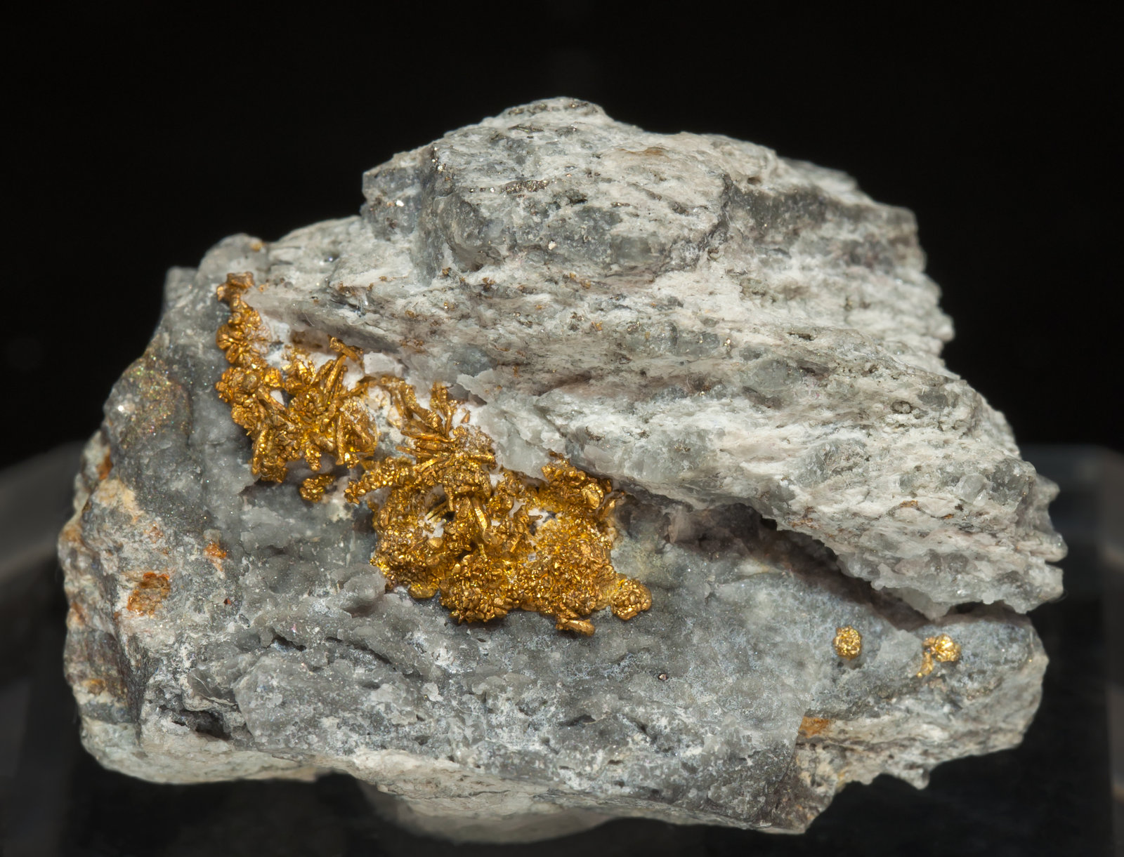 specimens/s_imagesAF9/Gold-EL50AF9f.jpg