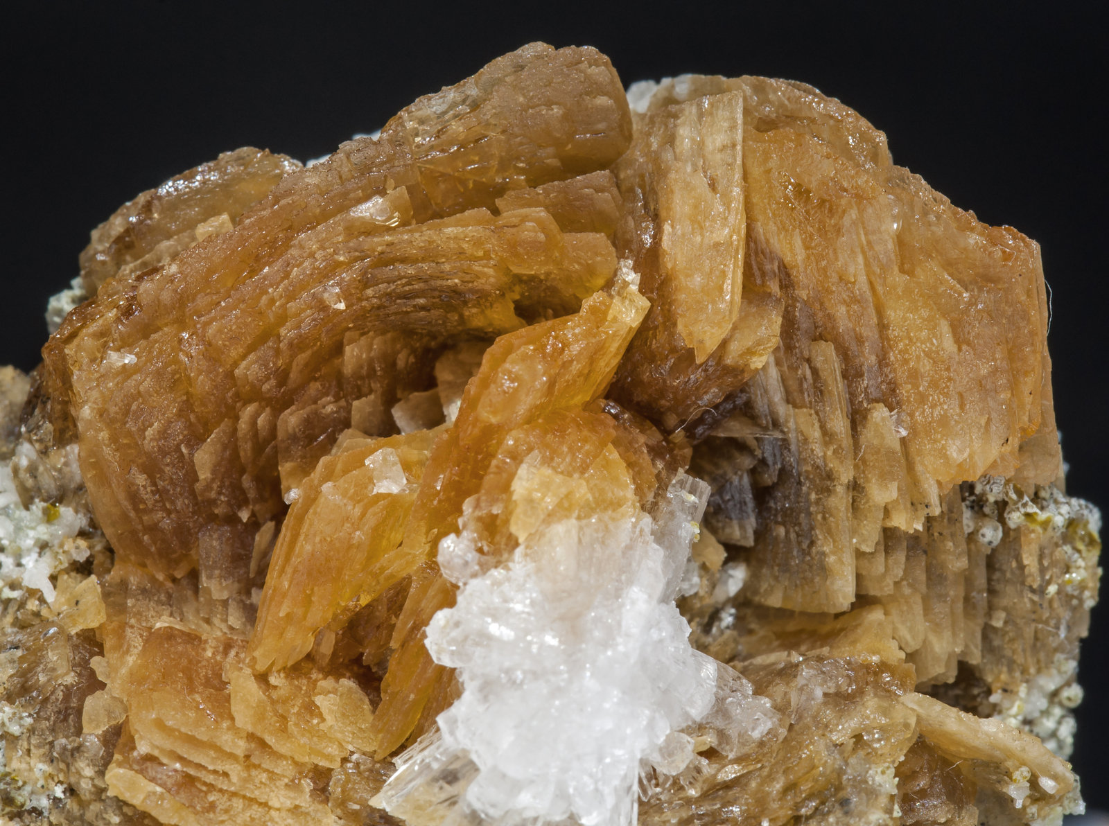 specimens/s_imagesAF9/Roweite-EB99AF9d.jpg