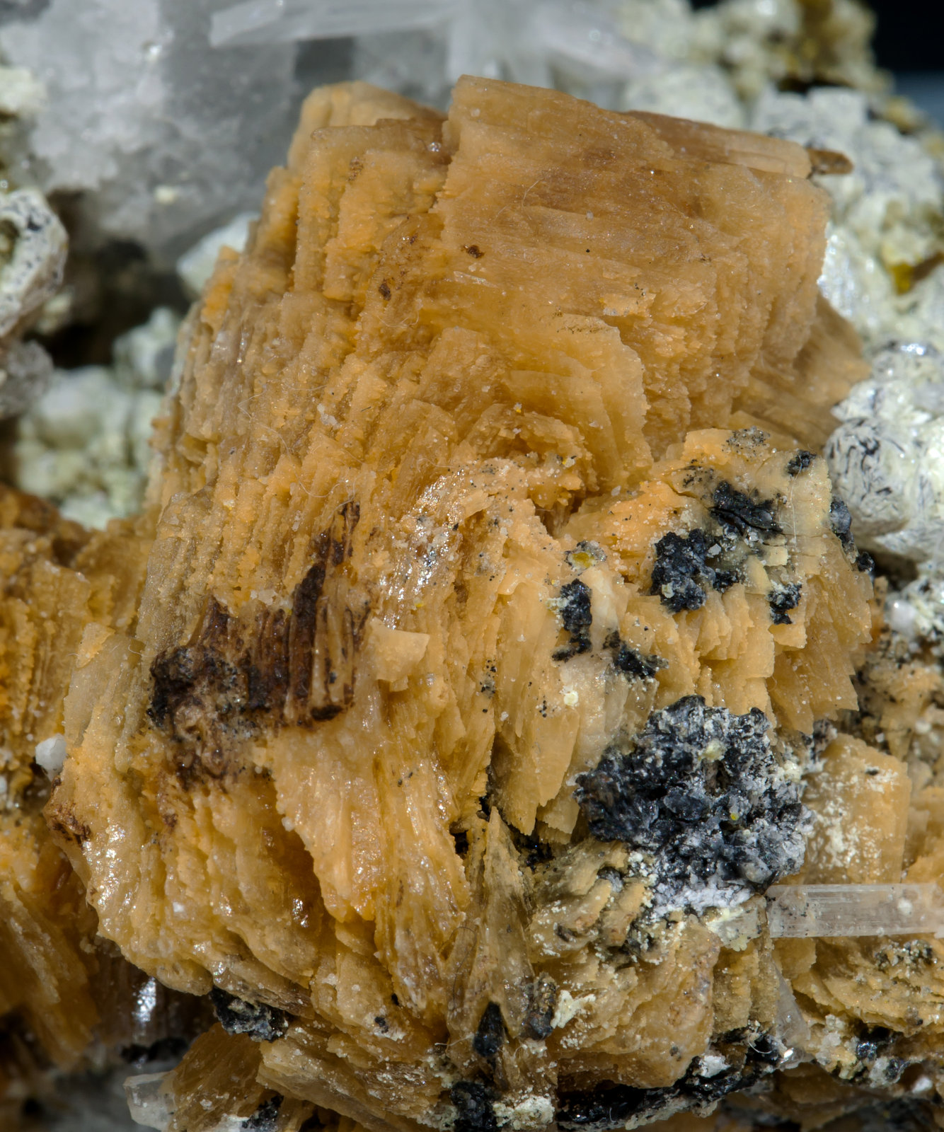 specimens/s_imagesAF9/Roweite-EF89AF9d.jpg