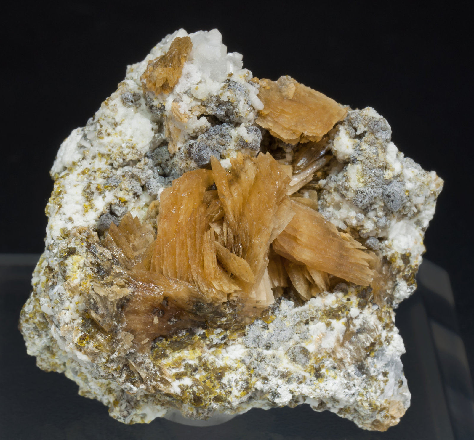 specimens/s_imagesAF9/Roweite-EK29AF9f.jpg
