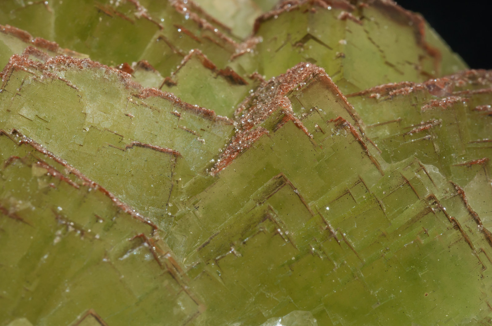 specimens/s_imagesAG0/Fluorite-ER48AG0d.jpg