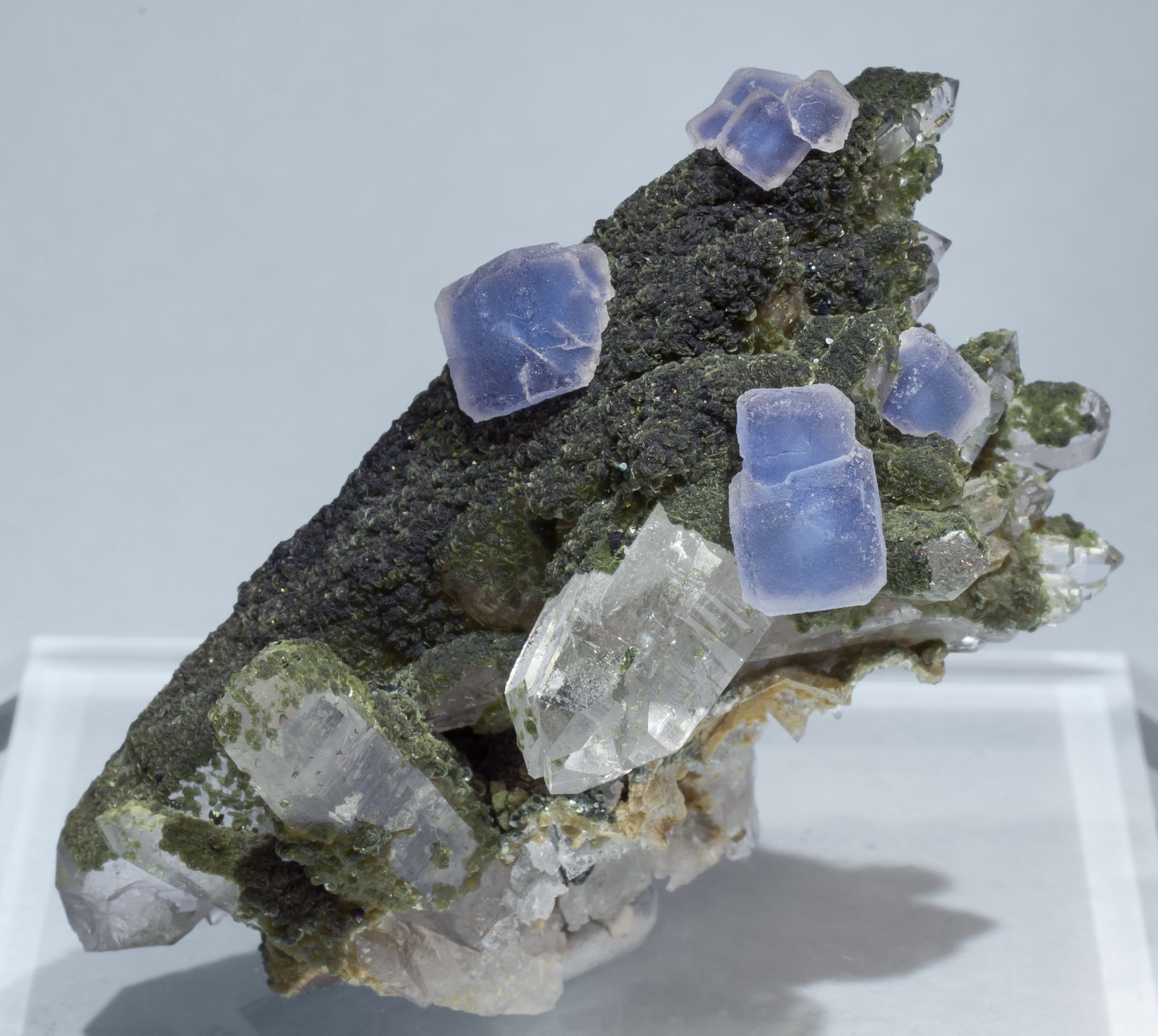 specimens/s_imagesAG0/Fluorite-ET61AG0f.jpg