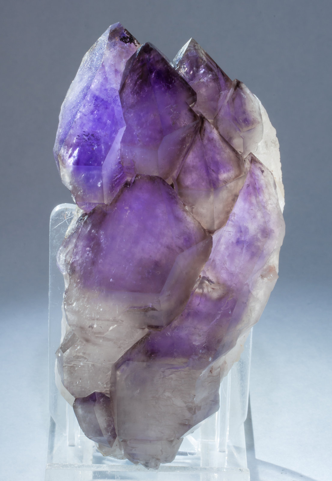 specimens/s_imagesAG0/Quartz_amethyst-DA87AG0f2.jpg