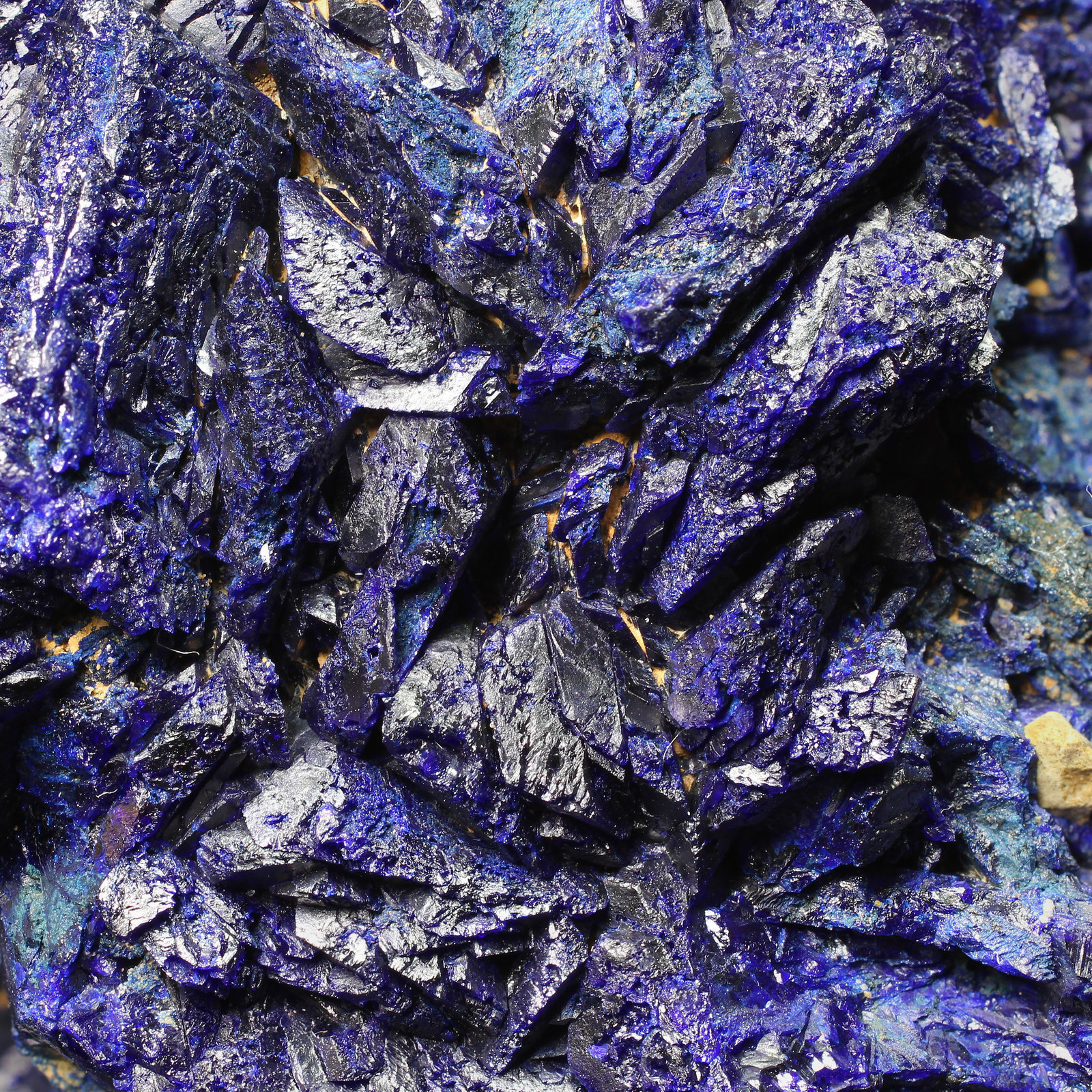 specimens/s_imagesAG1/Azurite-TN89AG1_7947_d1.jpg