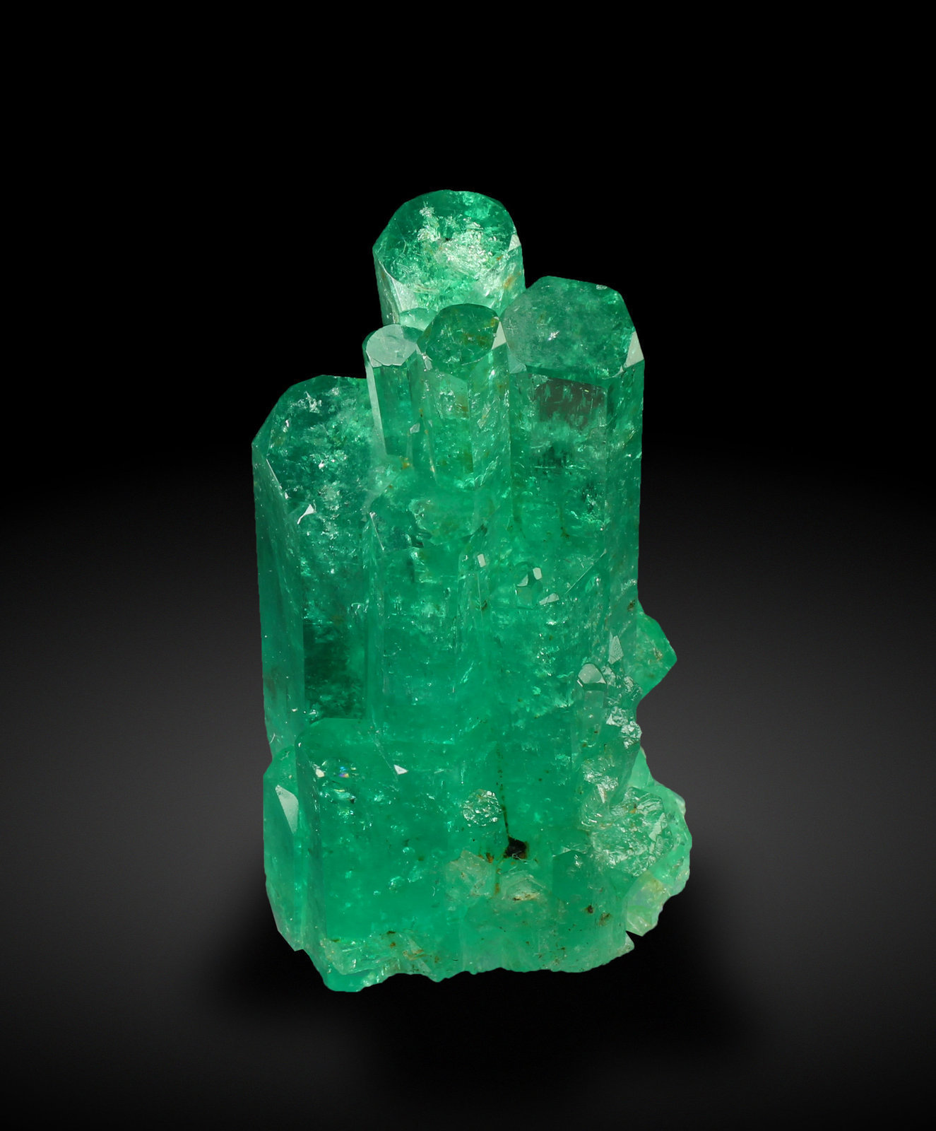 specimens/s_imagesAG1/Beryl_emerald-TF88AG1_7622_t.jpg
