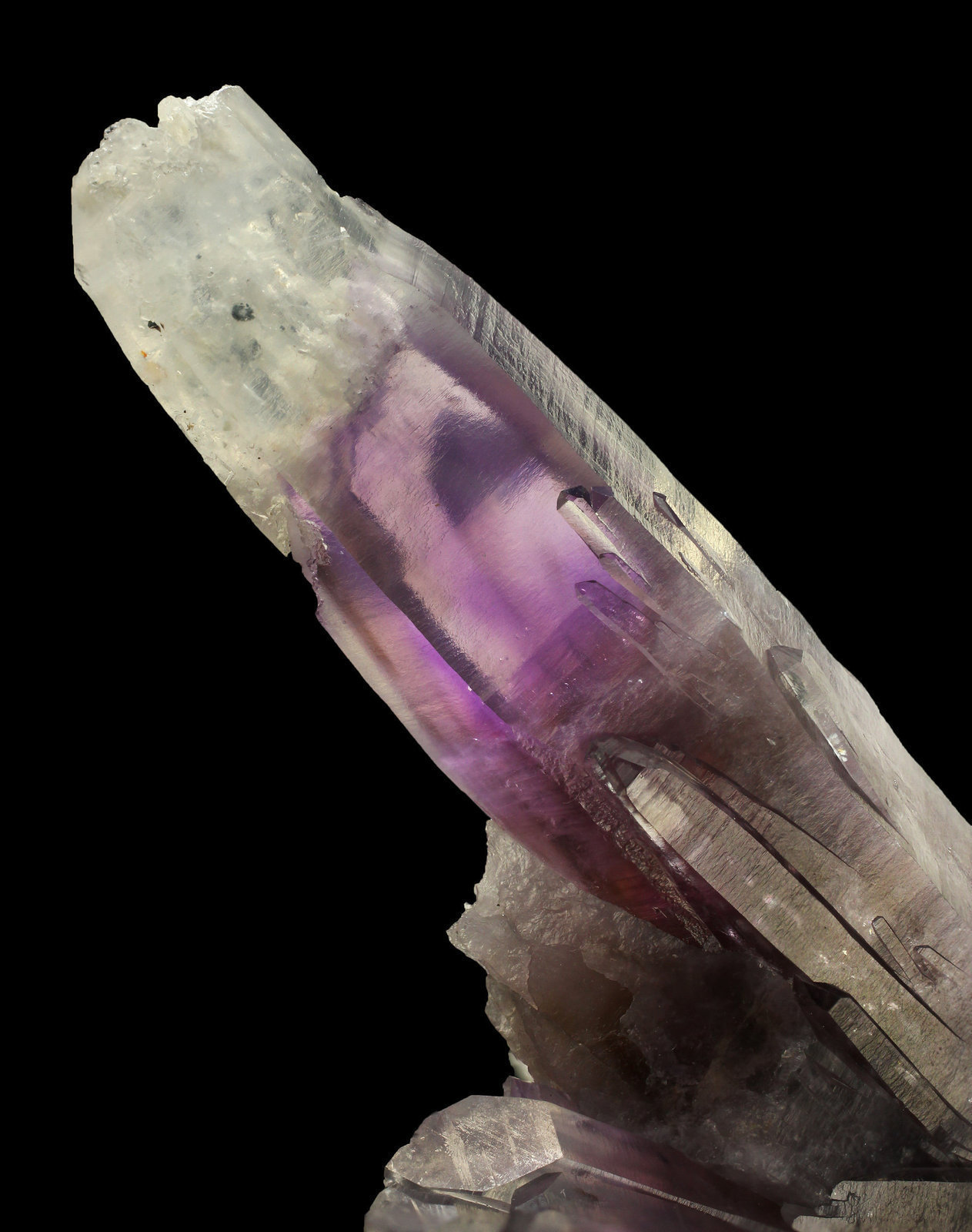 specimens/s_imagesAG1/Quartz_amethyst-TB91AG1_8245_d2.jpg