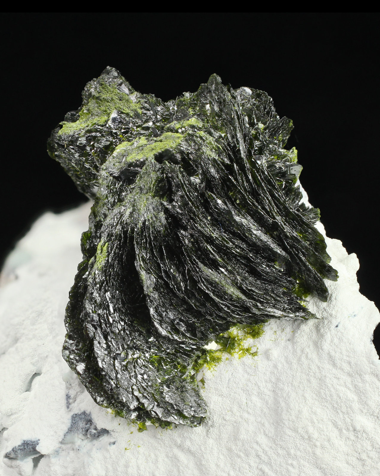 specimens/s_imagesAG1/Volborthite-TD89AG1_7553_d.jpg