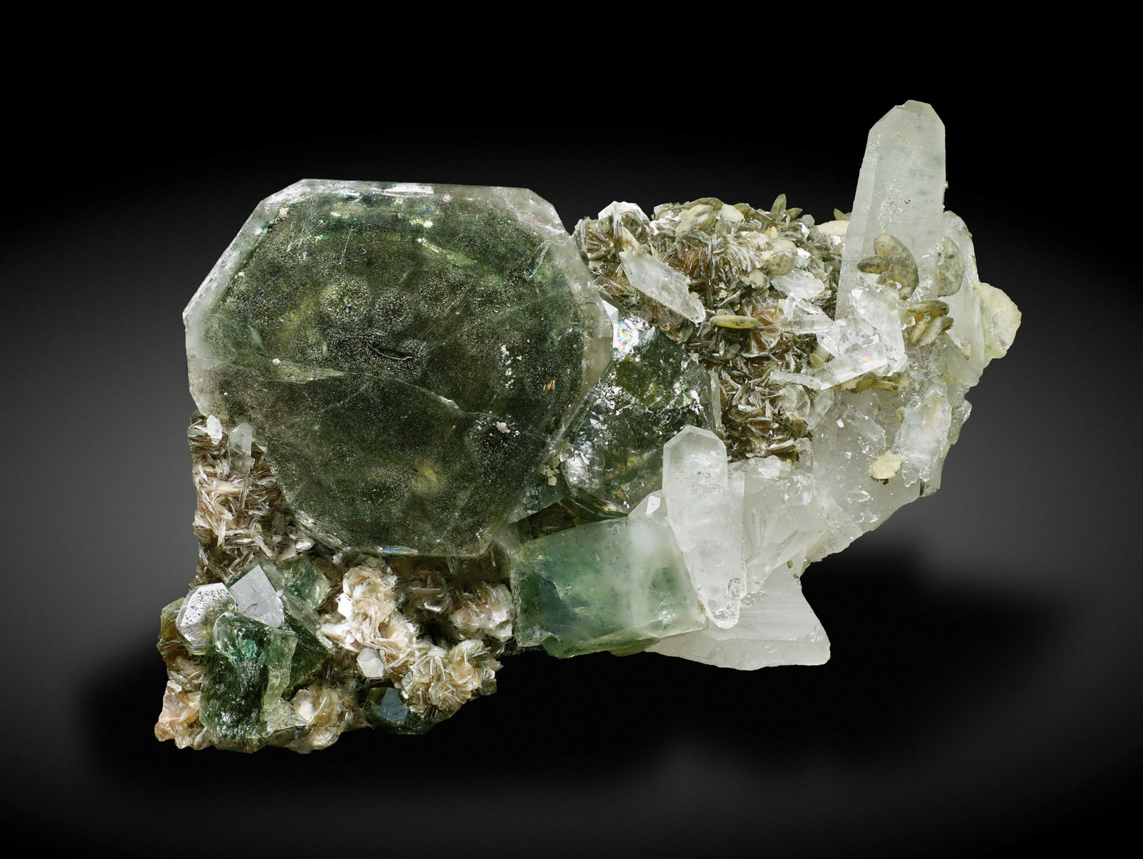 specimens/s_imagesAG2/Fluorapatite-NP90AG2_03427_f.jpg