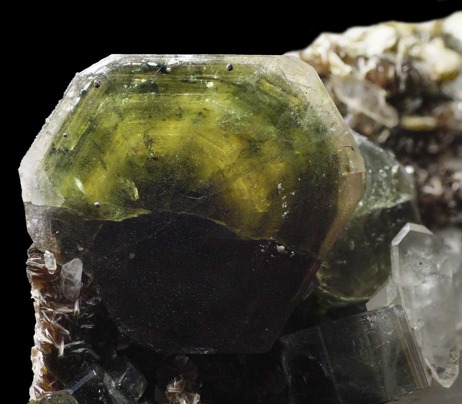 specimens/s_imagesAG2/Fluorapatite-NP90AG2_03448_d1.jpg