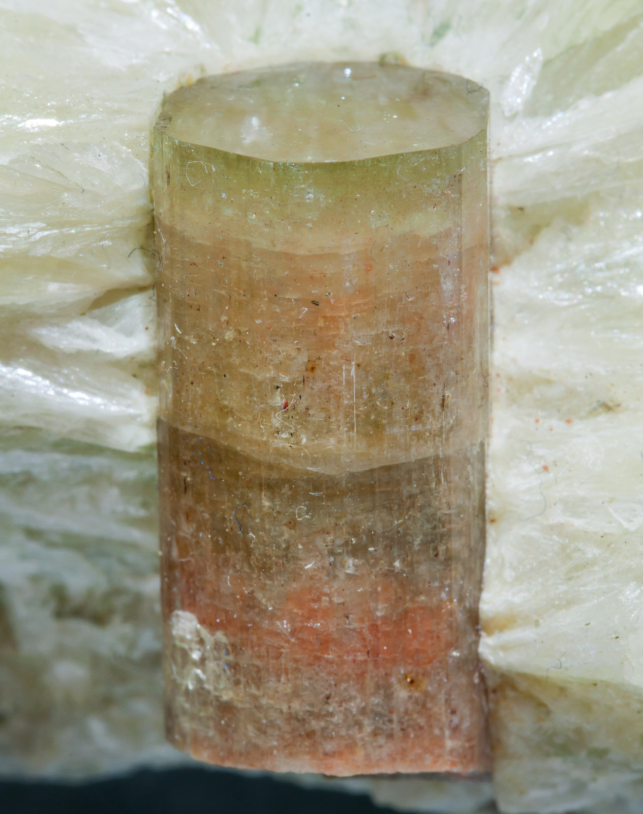 specimens/s_imagesAG3/Fluorapatite-MZ98AG3d.jpg