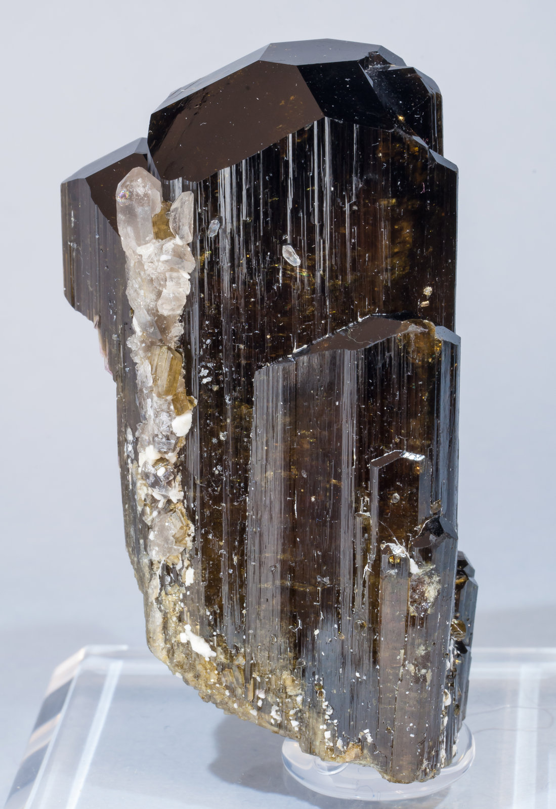 specimens/s_imagesAG4/Elbaite-TD94AG4f.jpg
