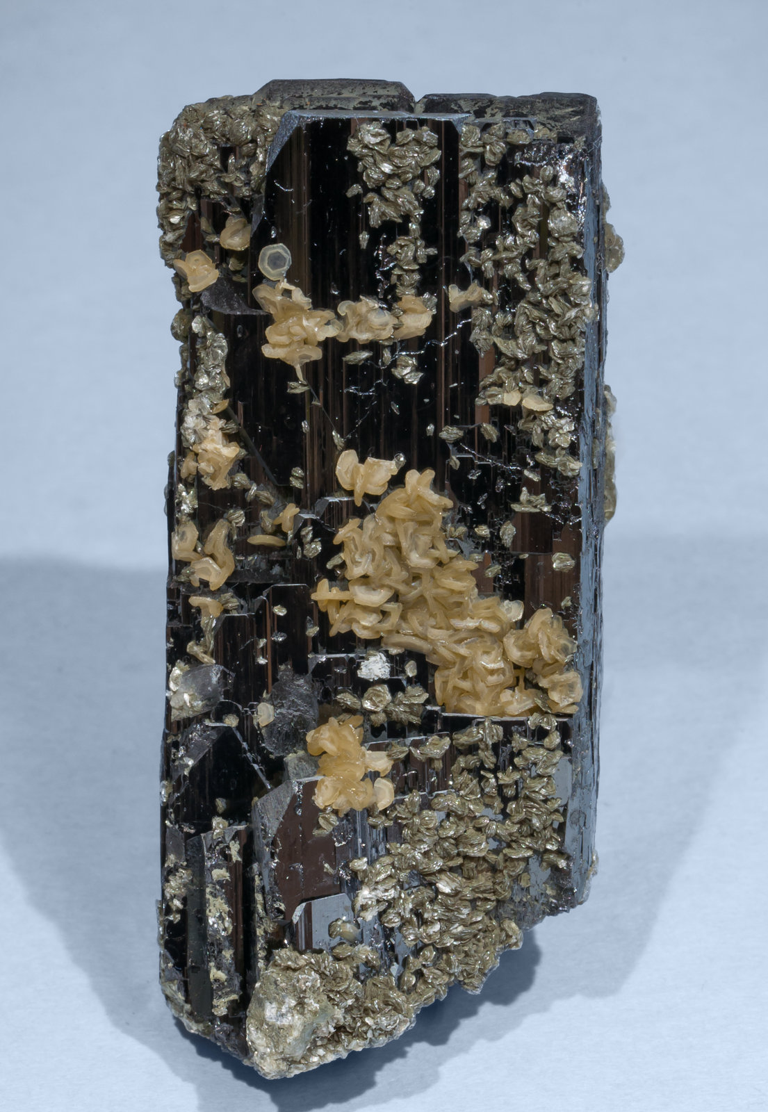 specimens/s_imagesAG4/Fluorapatite-NB68AG4r.jpg