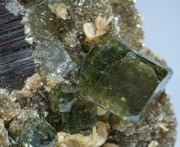 Fluorapatite with Ferberite, Siderite and Muscovite. 