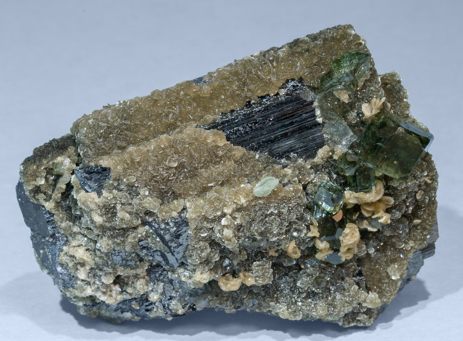 specimens/s_imagesAG4/Fluorapatite-NC97AG4f.jpg