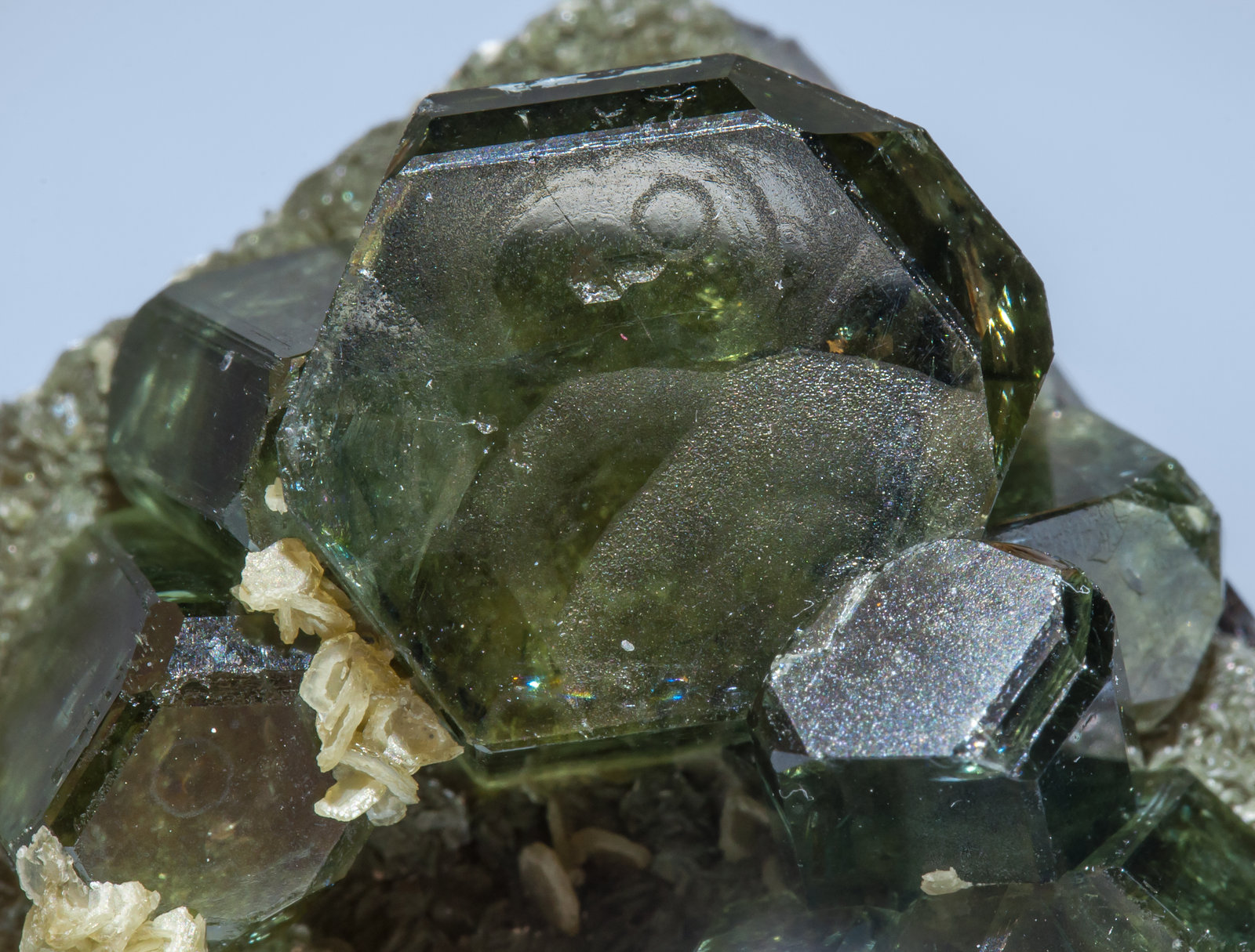 specimens/s_imagesAG4/Fluorapatite-ND29AG4d.jpg