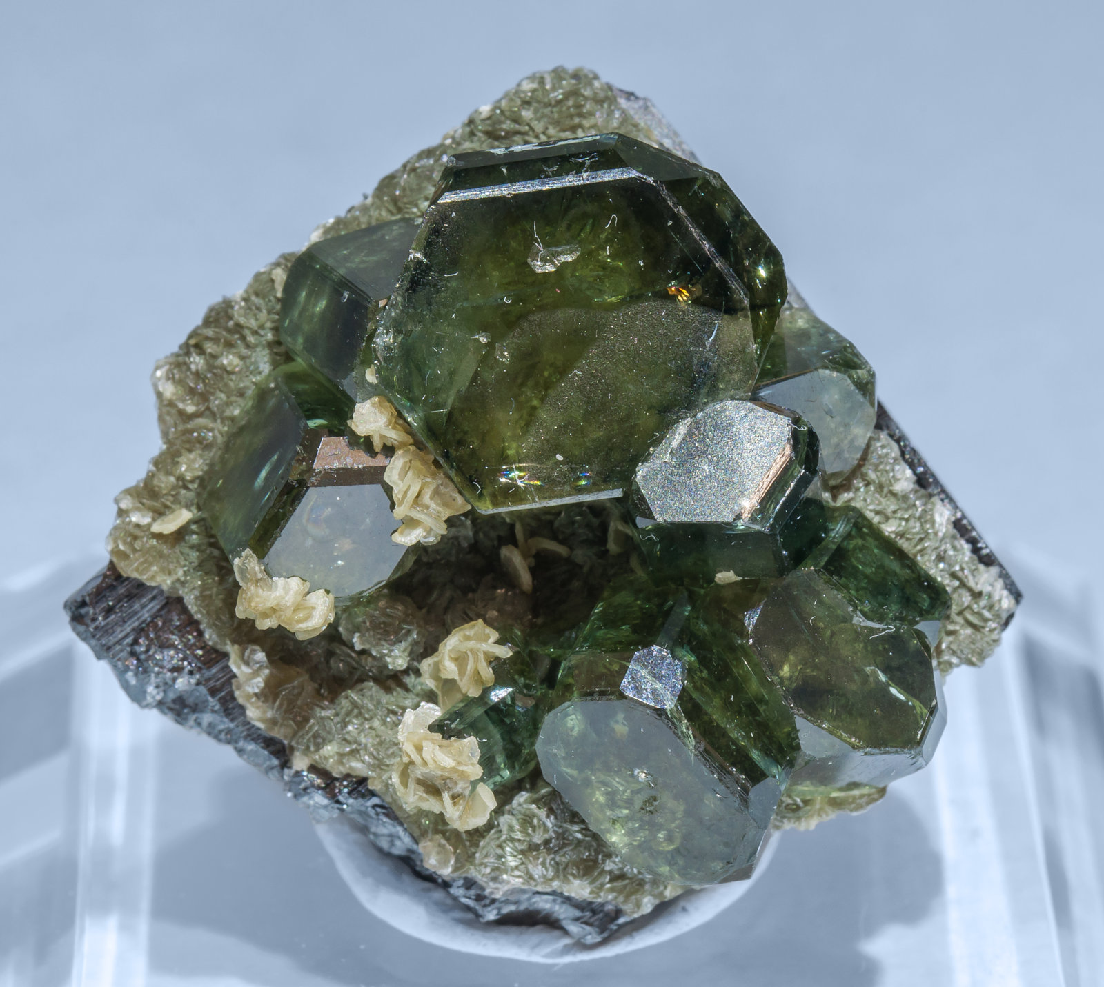 specimens/s_imagesAG4/Fluorapatite-ND29AG4f.jpg