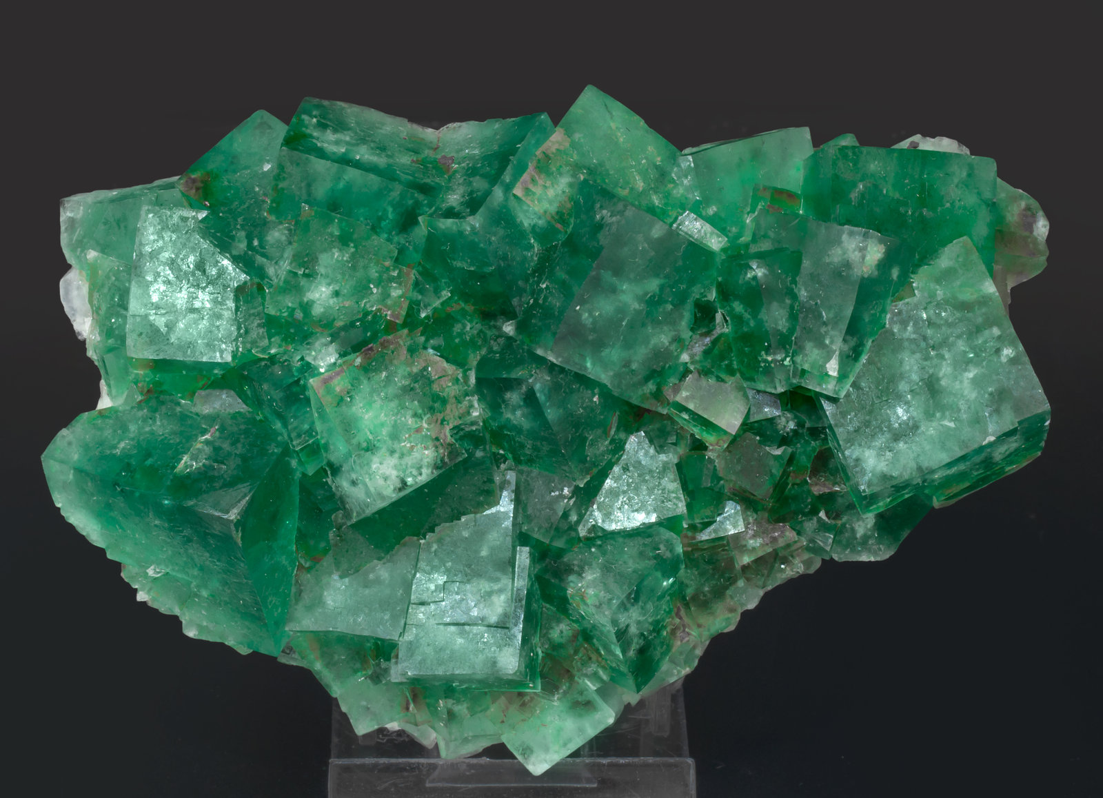 specimens/s_imagesAG5/Fluorite-EE69AG5f1.jpg