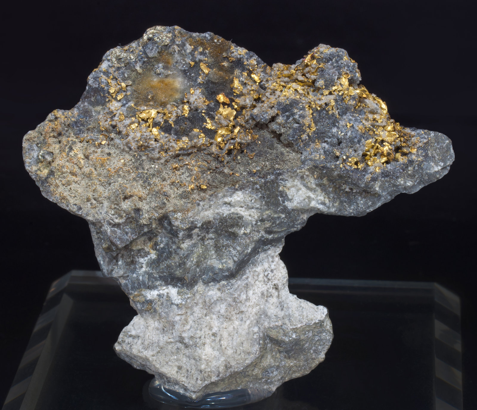 specimens/s_imagesAG5/Gold-EC50AG5f.jpg