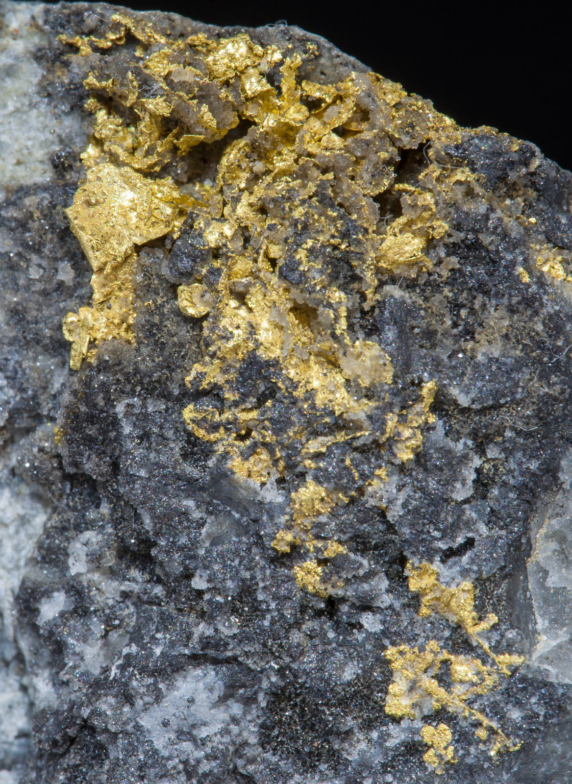 specimens/s_imagesAG5/Gold-EH39AG5d.jpg