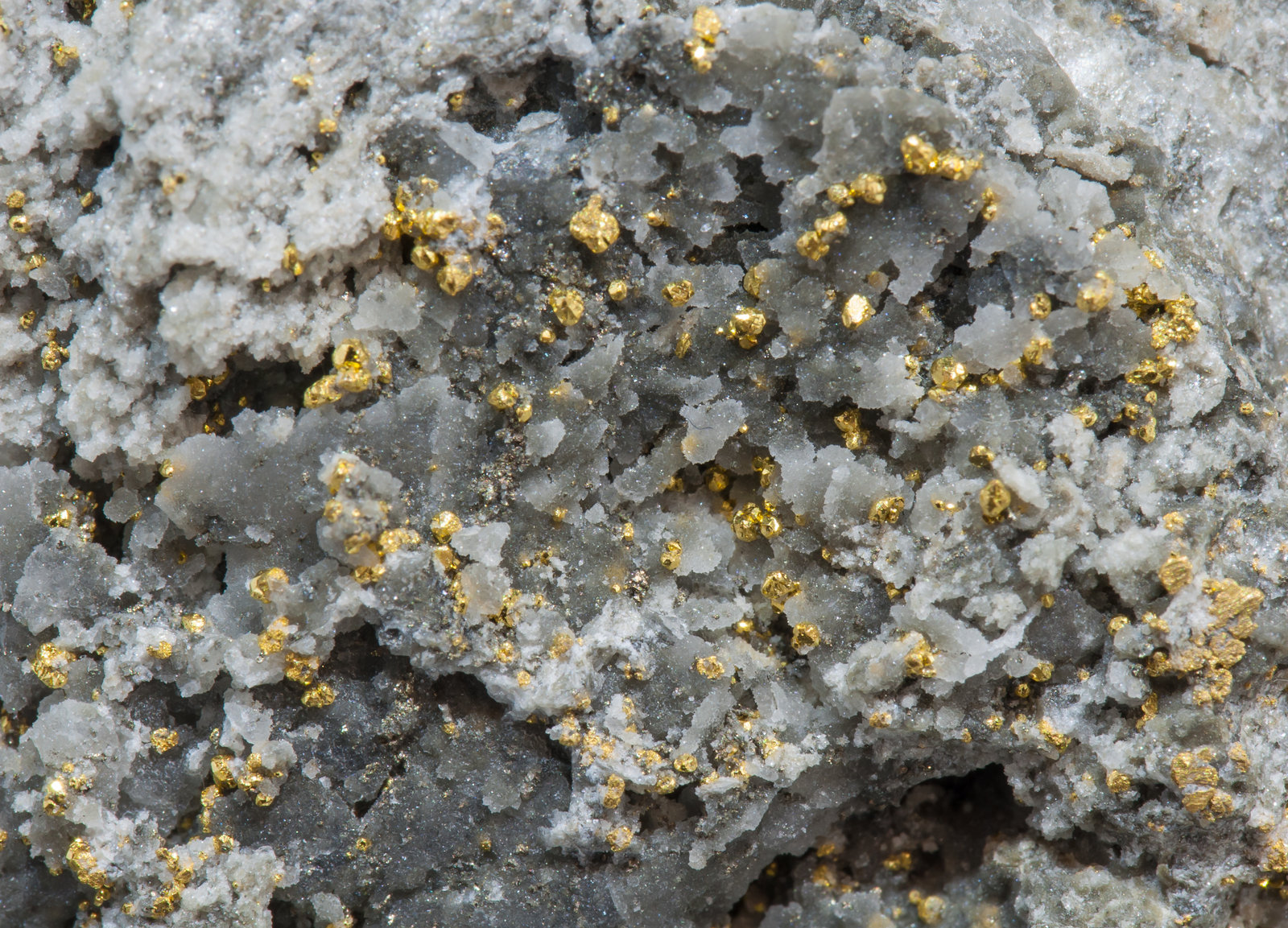 specimens/s_imagesAG5/Gold-EJ67AG5d.jpg