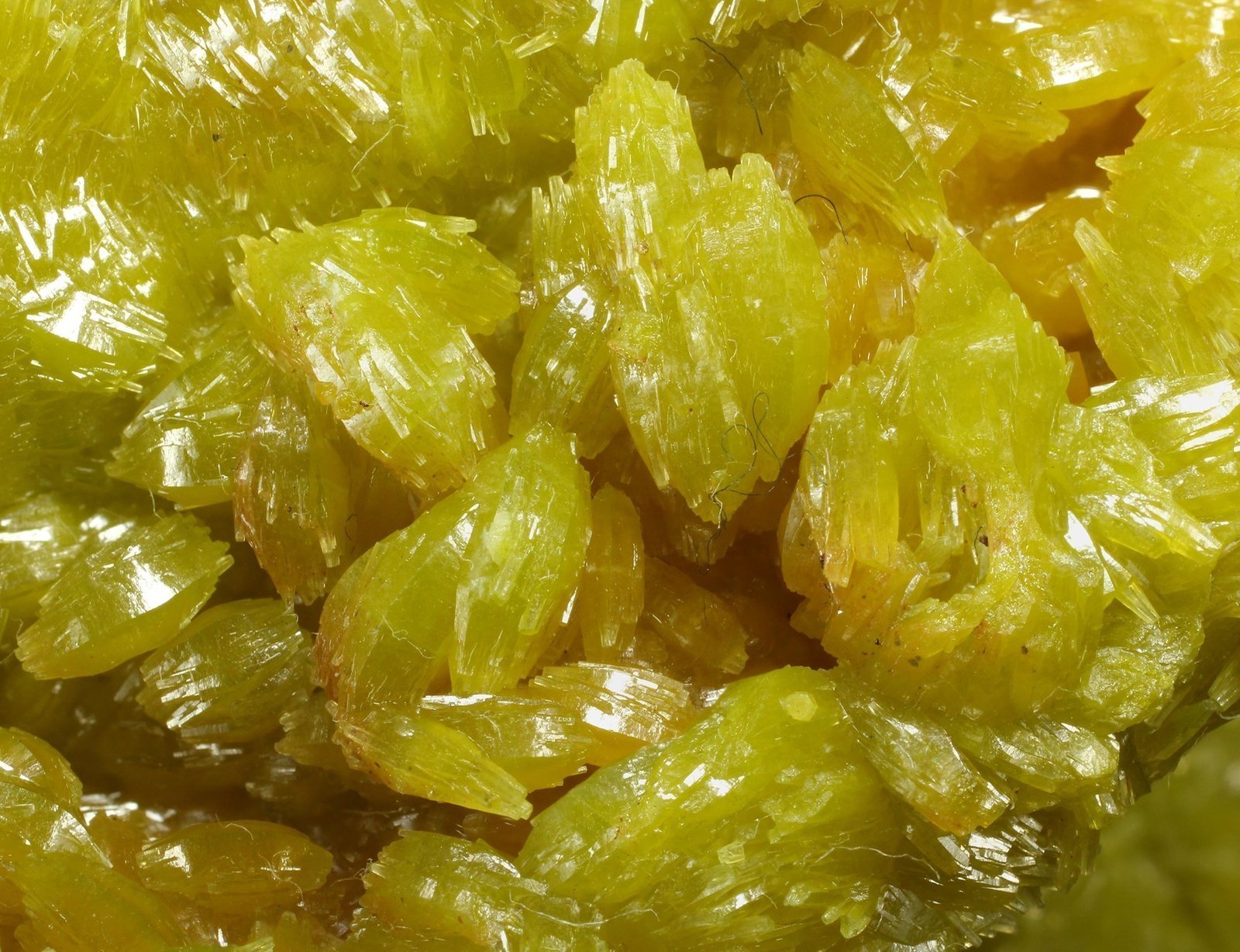 specimens/s_imagesAG6/Pyromorphite-ET92AG6_8950_d1.jpg