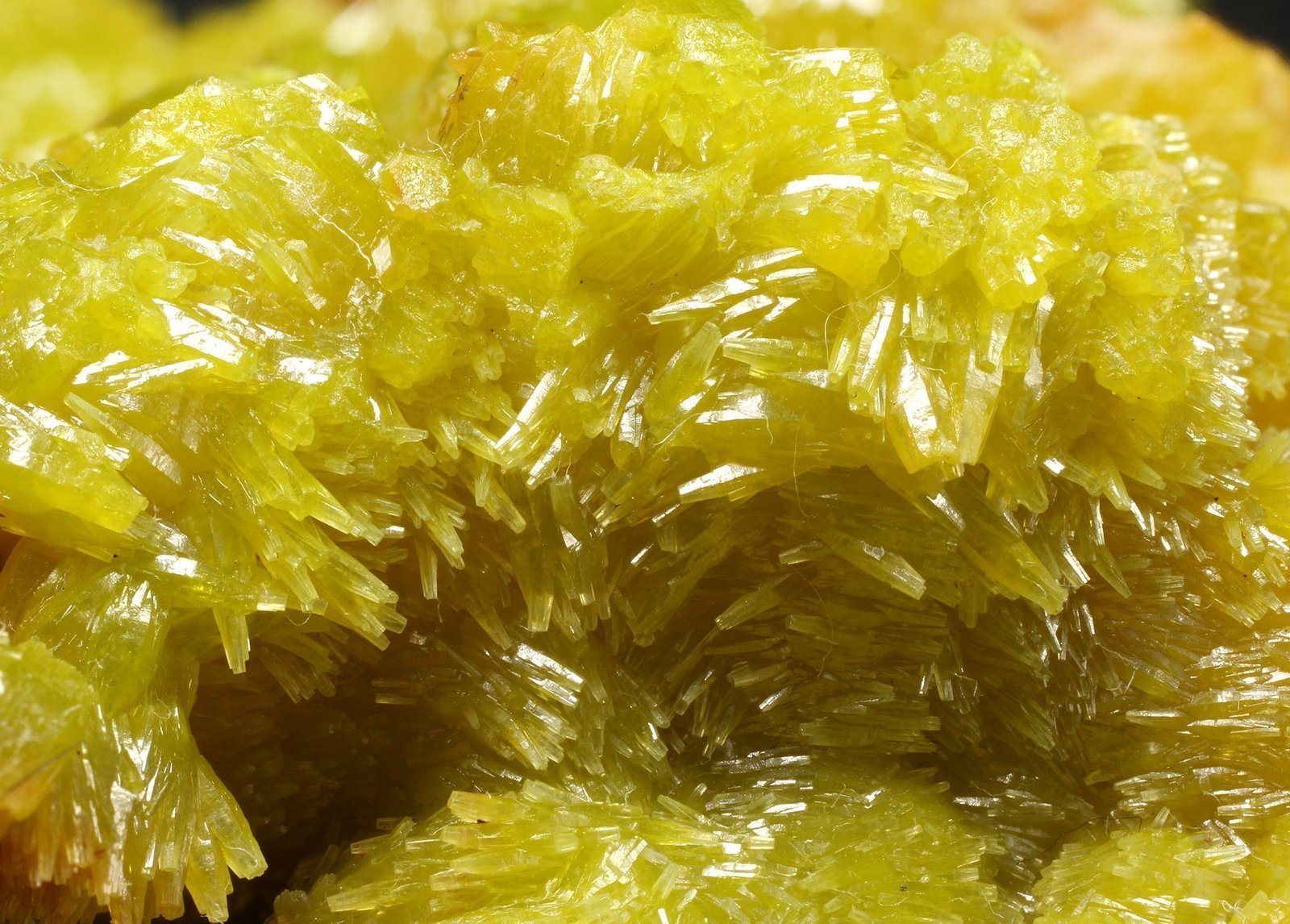 specimens/s_imagesAG6/Pyromorphite-ET92AG6_8955_d2.jpg