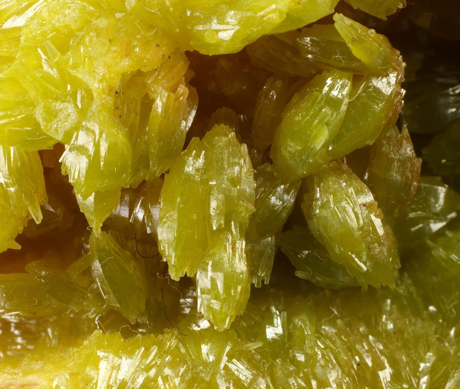 specimens/s_imagesAG6/Pyromorphite-ET92AG6_8962_d3.jpg