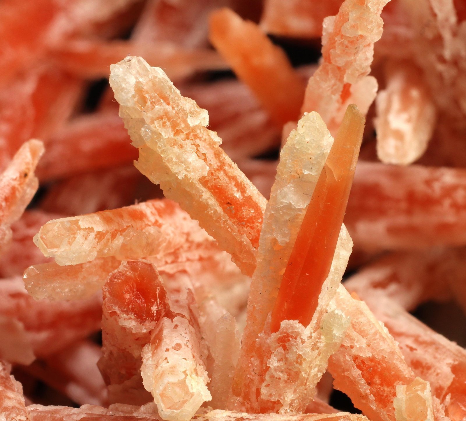 specimens/s_imagesAG6/Quartz-EB66AG6_8989_d.jpg