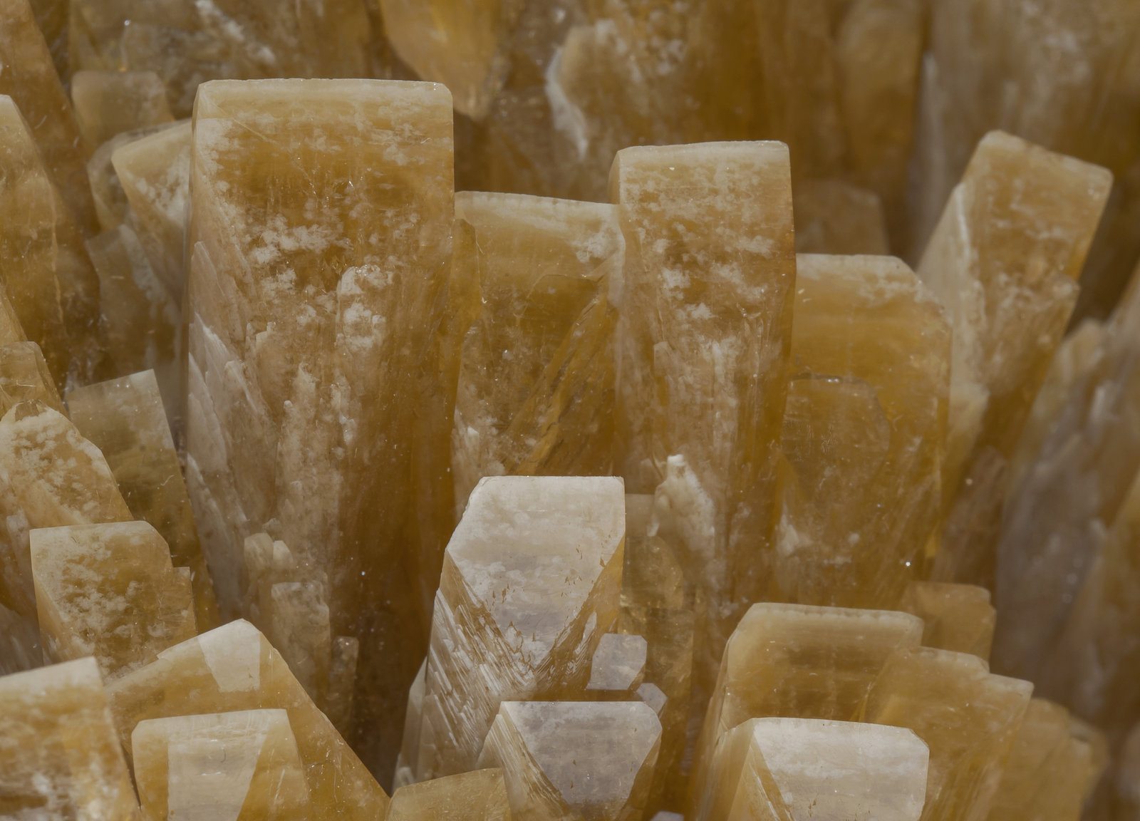 specimens/s_imagesAG7/Baryte-EX74AG7d.jpg