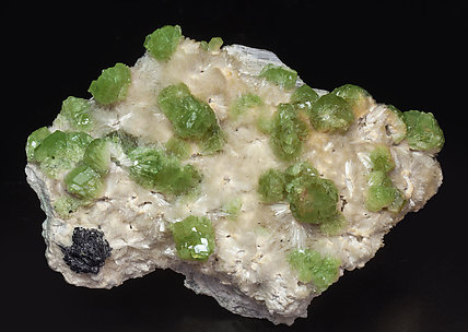 Grossular with Pectolite and Ilmenite. 