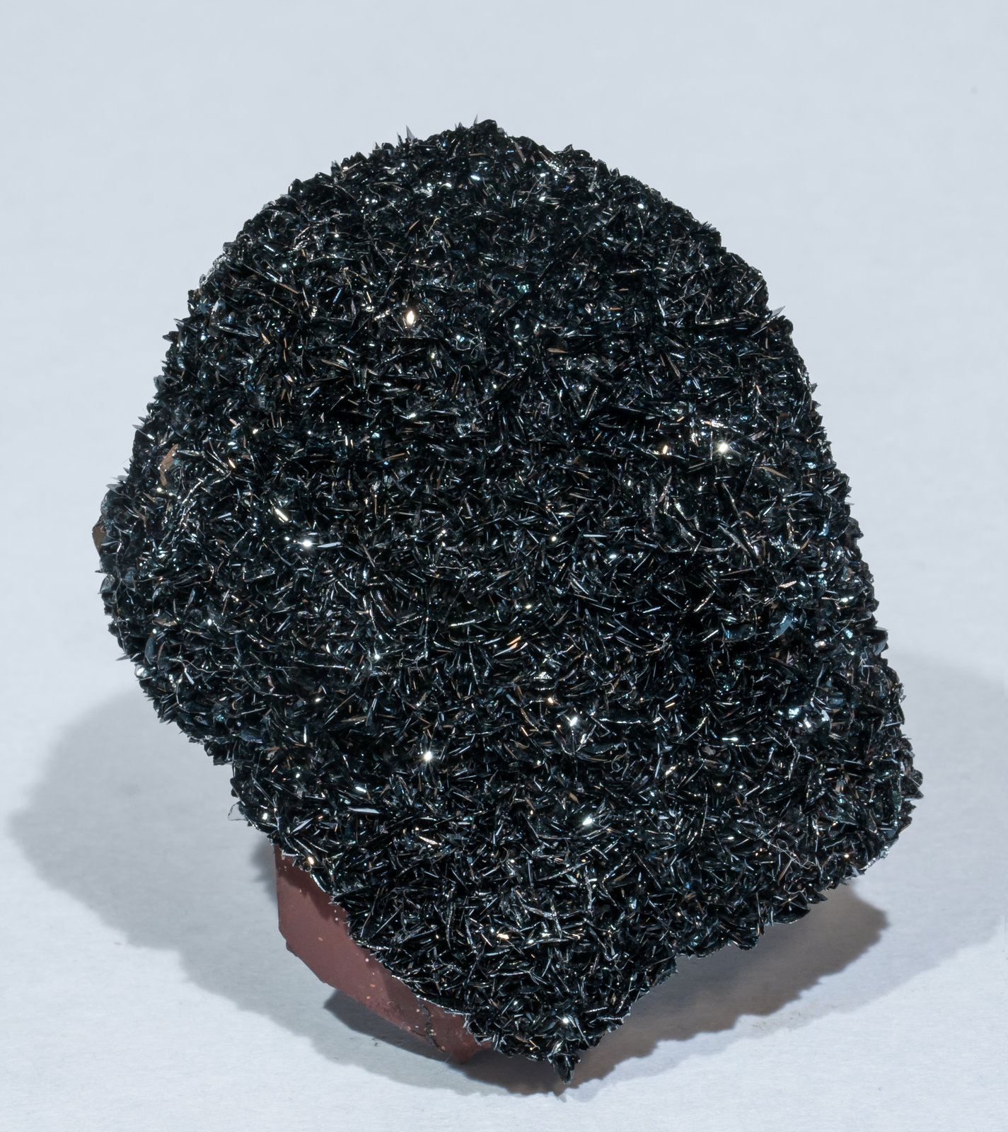 specimens/s_imagesAG7/Hematite-DP66AG7f.jpg