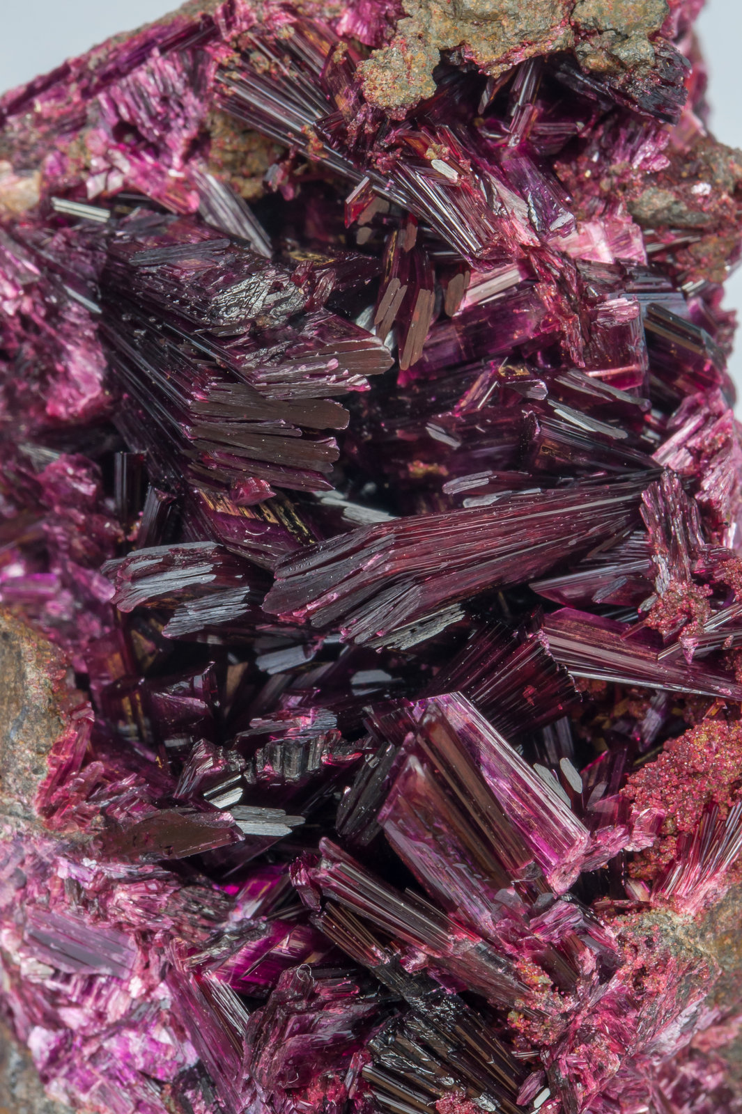 specimens/s_imagesAG9/Erythrite-VM68AG9d2.jpg
