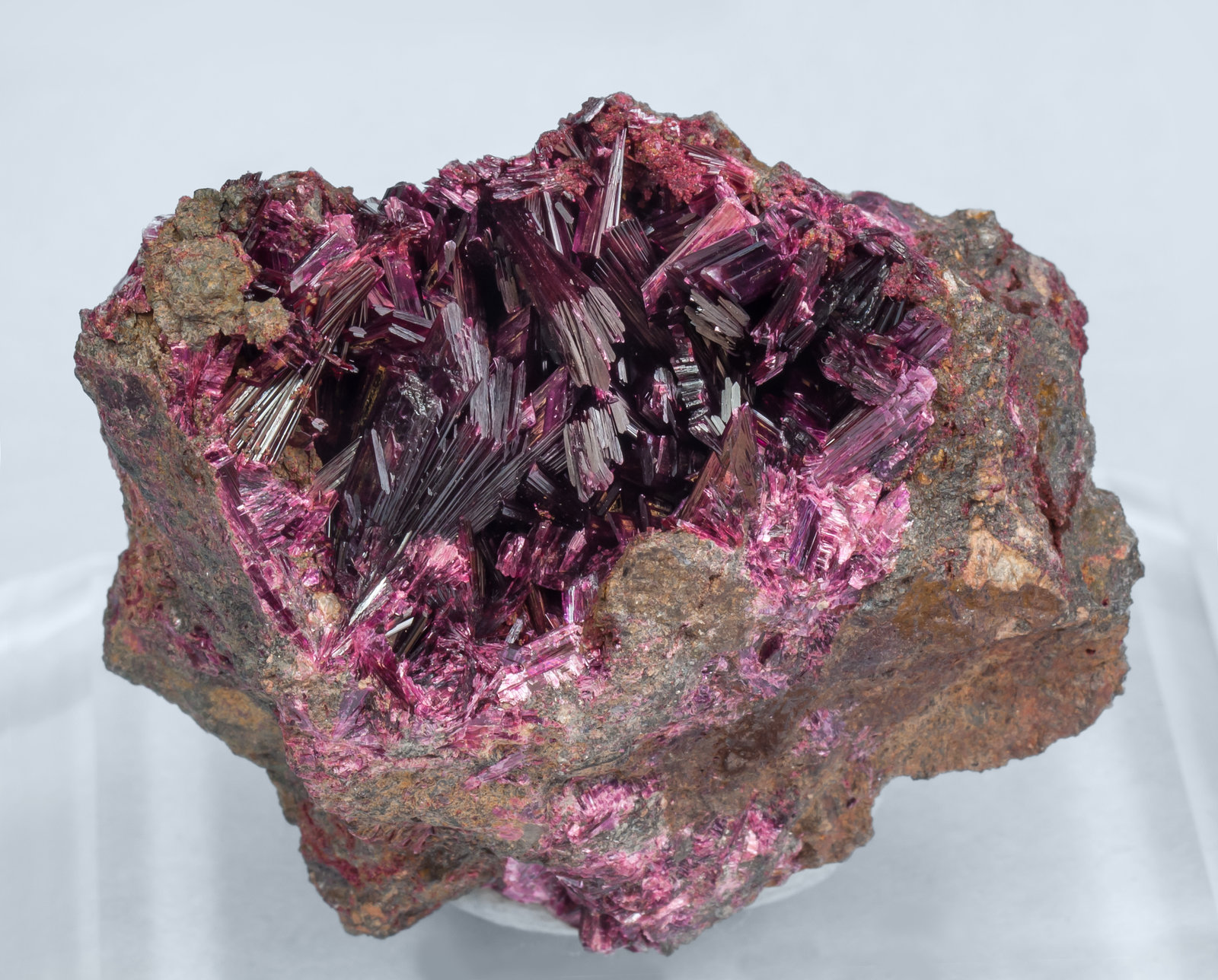 specimens/s_imagesAG9/Erythrite-VM68AG9f.jpg