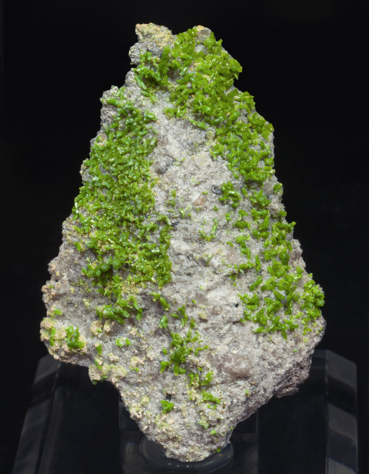 specimens/s_imagesAG9/Pyromorphite-EZ46AG9f.jpg