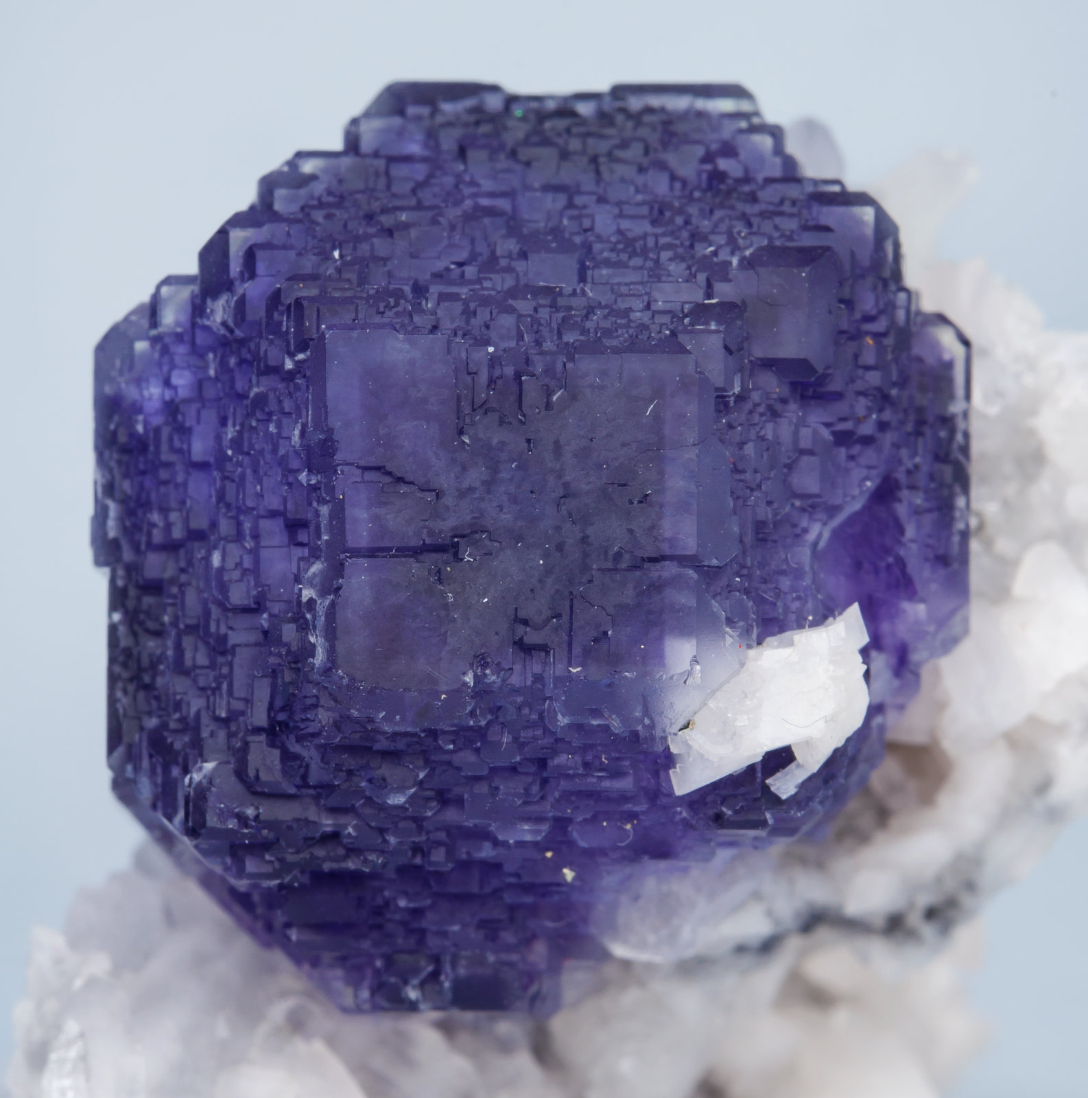 specimens/s_imagesAH0/Fluorite-MT86AH0d.jpg