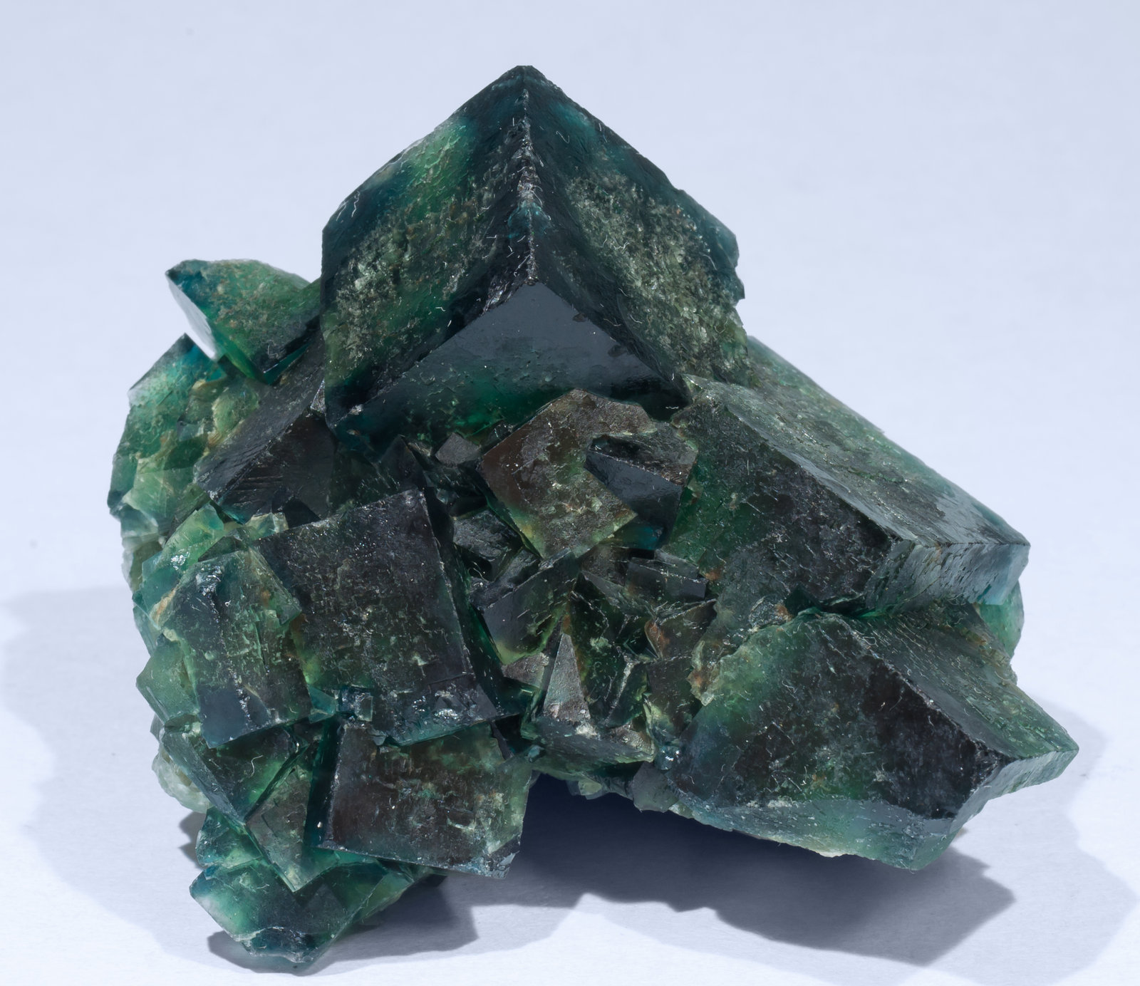 specimens/s_imagesAH0/Fluorite-TP28AH0f.jpg