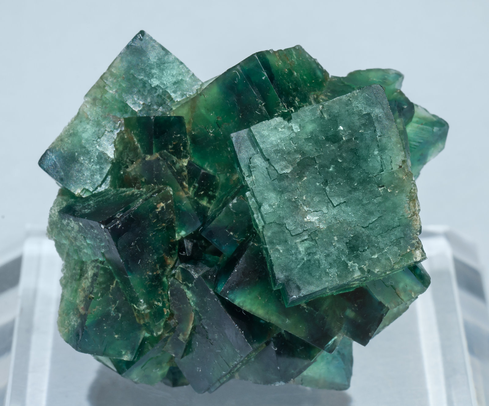 specimens/s_imagesAH0/Fluorite-TW27AH0f.jpg