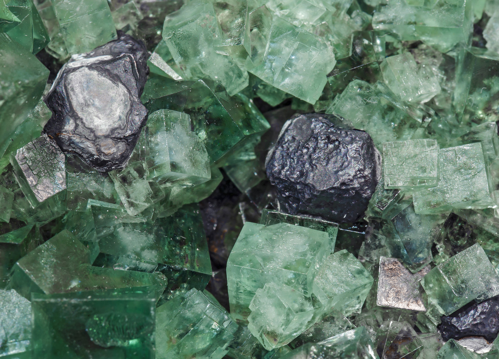 specimens/s_imagesAH0/Fluorite-VA87AH0d.jpg