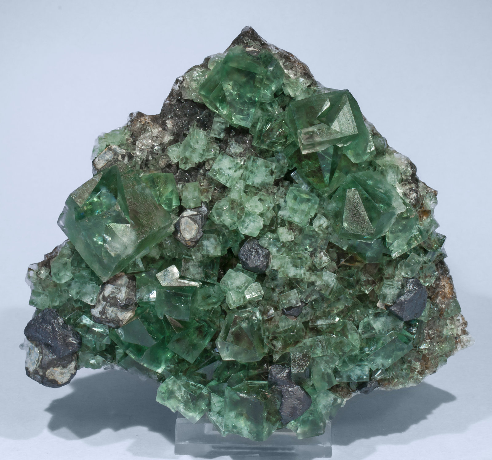 specimens/s_imagesAH0/Fluorite-VA87AH0f.jpg