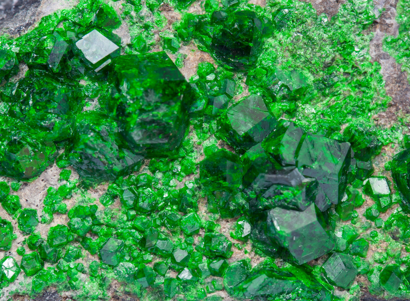 specimens/s_imagesAH0/Uvarovite-MB86AH0d.jpg